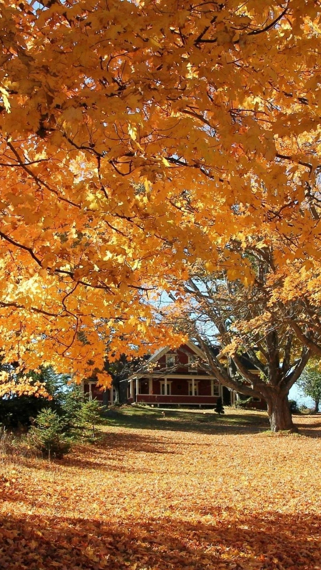 Pixel Autumn Wallpapers - Wallpaper Cave