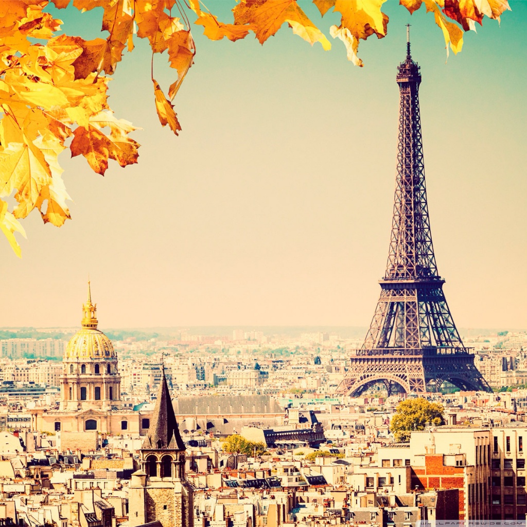 Paris tree Ultra HD Desktop Background Wallpaper for 4K UHD TV, Tablet