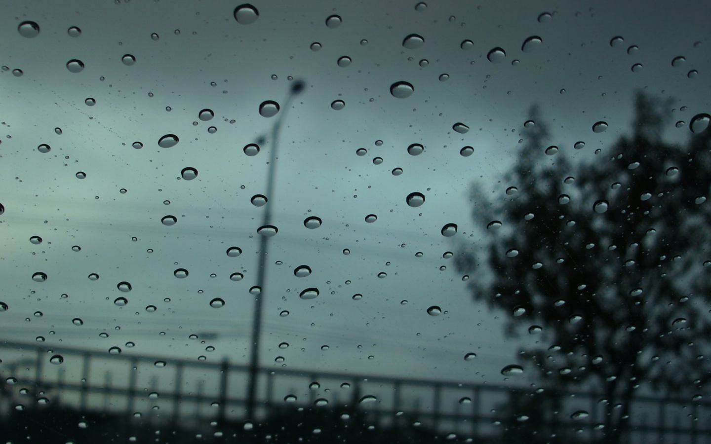 Autumn Rain desktop PC and Mac wallpaper