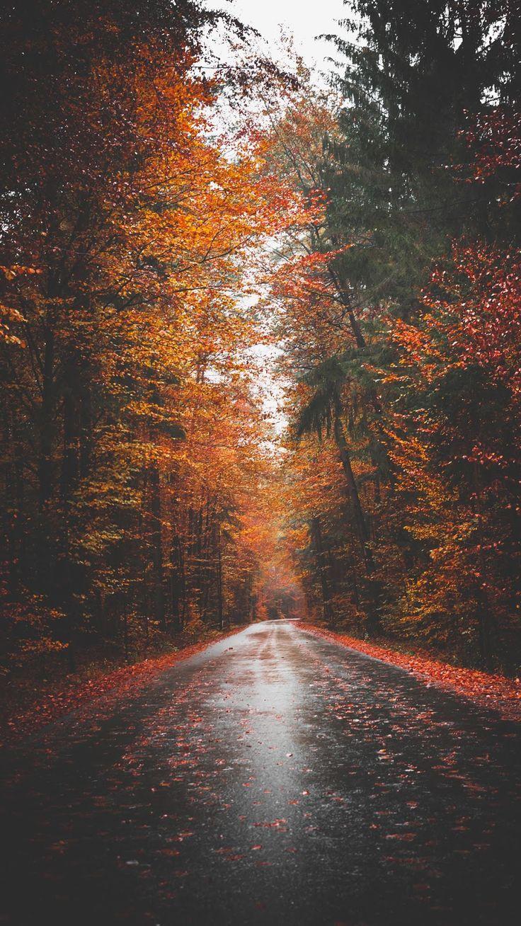 Fall Aesthetic Wallpaper