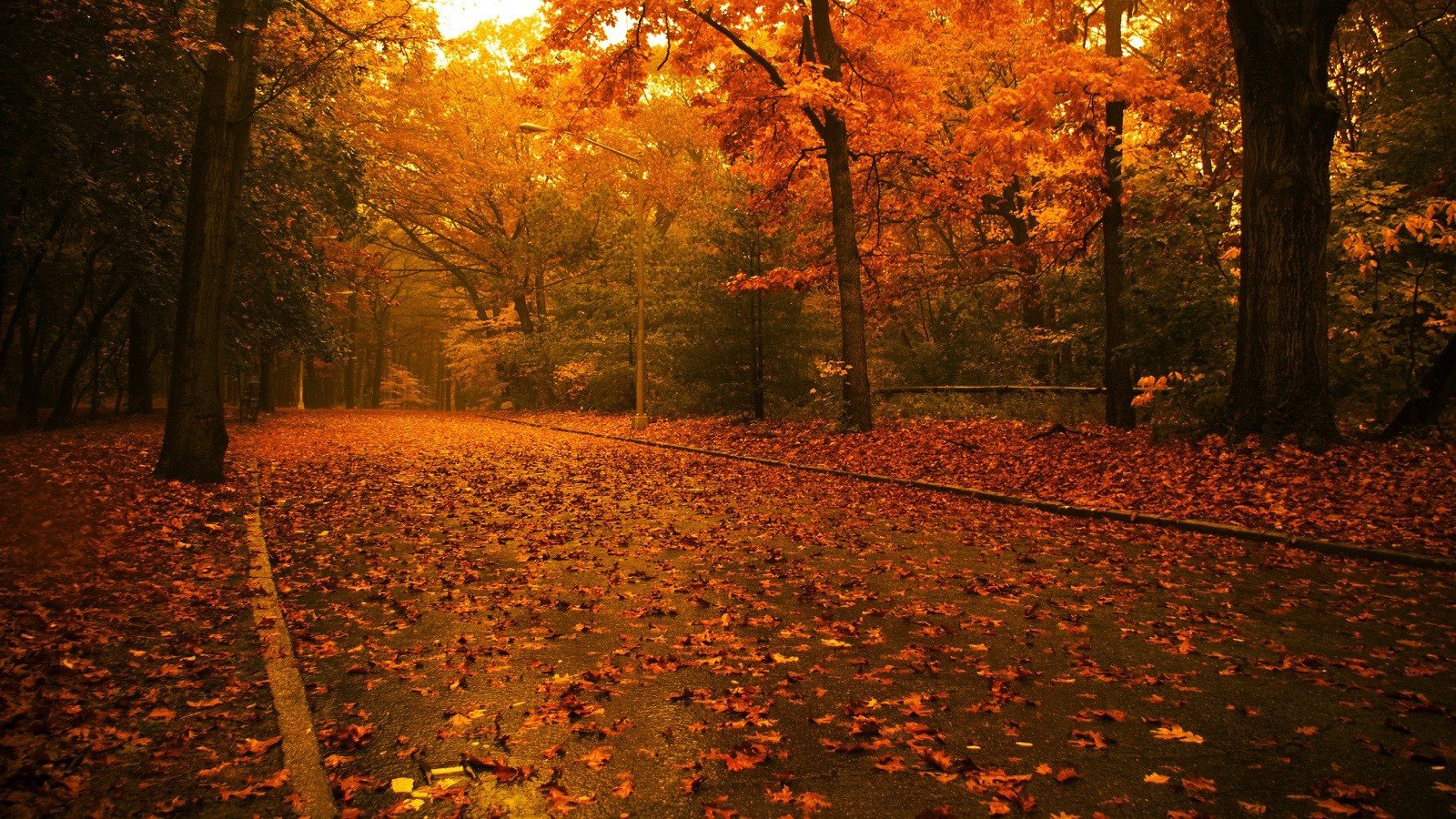 Autumn Rain Desktop Wallpaper Free Autumn Rain Desktop Background