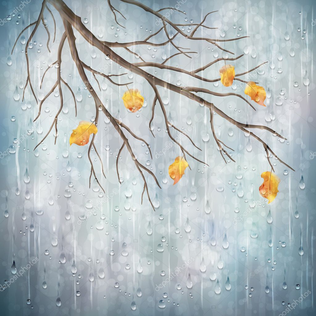 Autumn Rain Background