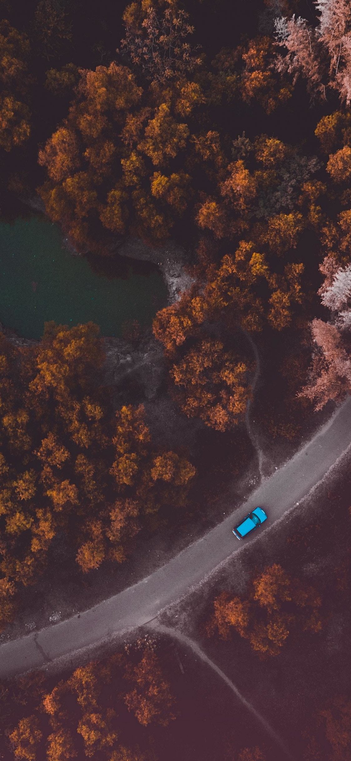 Download 1125x2436 wallpaper bird's eye view, road, tree, autumn, iphone x 1125x2436 HD image, background, 16134