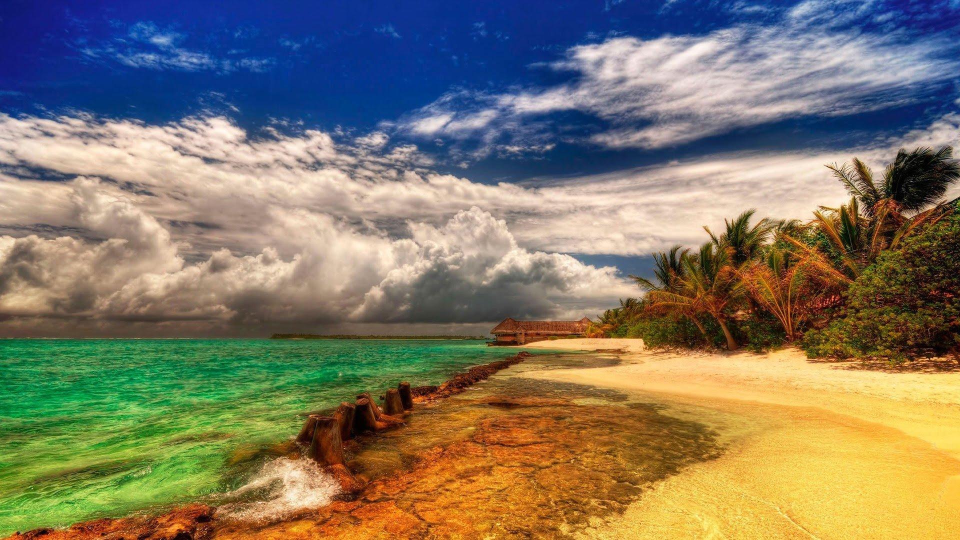 Summer Wallpaper and HD Background free download on PicGaGa