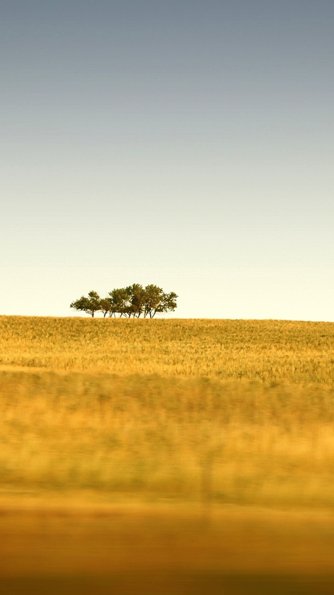 Late Summer HD Wallpaper iPhone 6 / 6S Plus