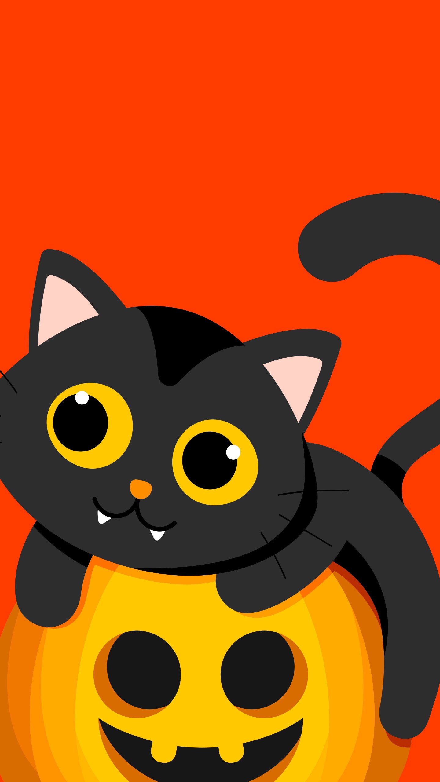 Download Cute Halloween Iphone Black Cat In Pumpkin Wallpaper  Wallpapers com