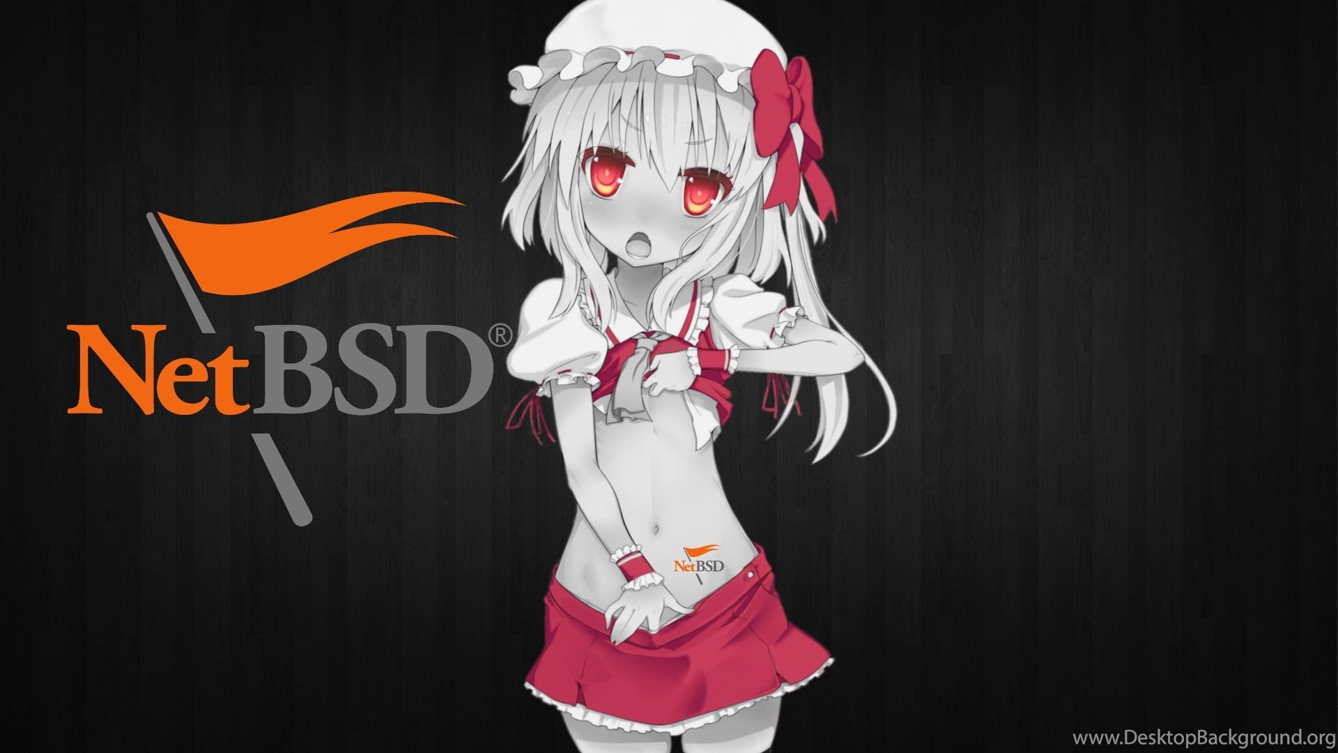 More Like NetBSD Clean Anime Logo Wallpaper By Ipodpunker Desktop Background