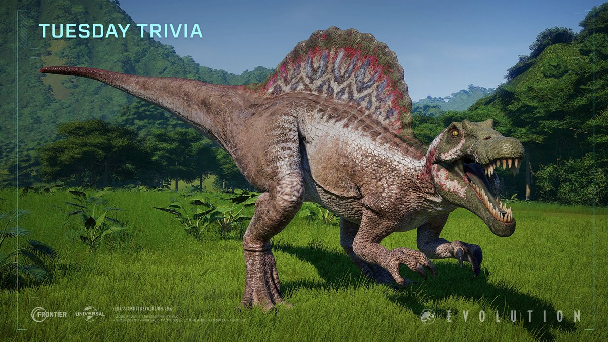 Jurassic World Evolution 2 hope you're ready for another edition of #TuesdayTrivia! Did you know that Spinosaurus is the tallest carnivore in Jurassic World Evolution? Its back sail makes