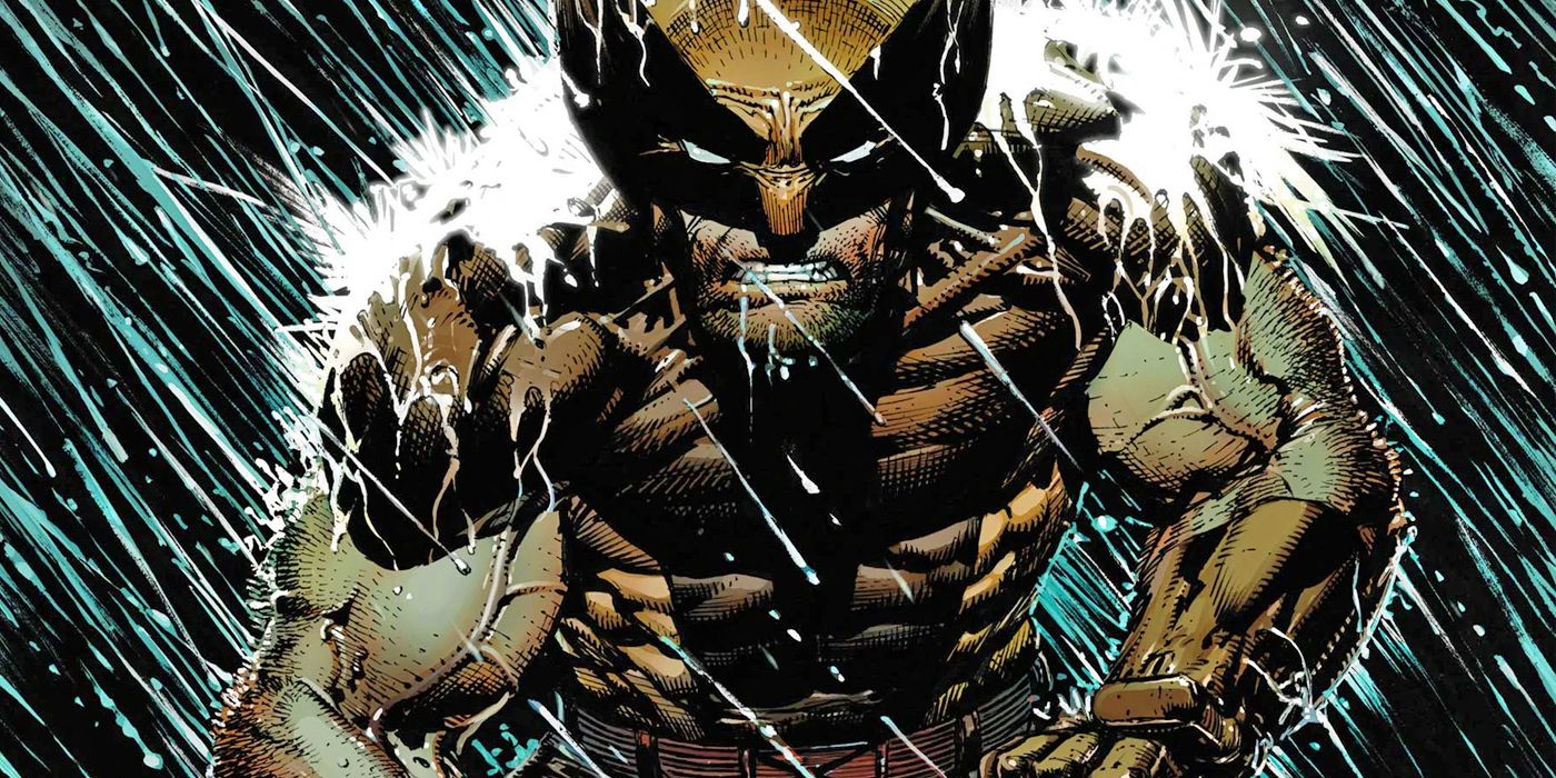 Wolverine To Appear in Black Panther 2?