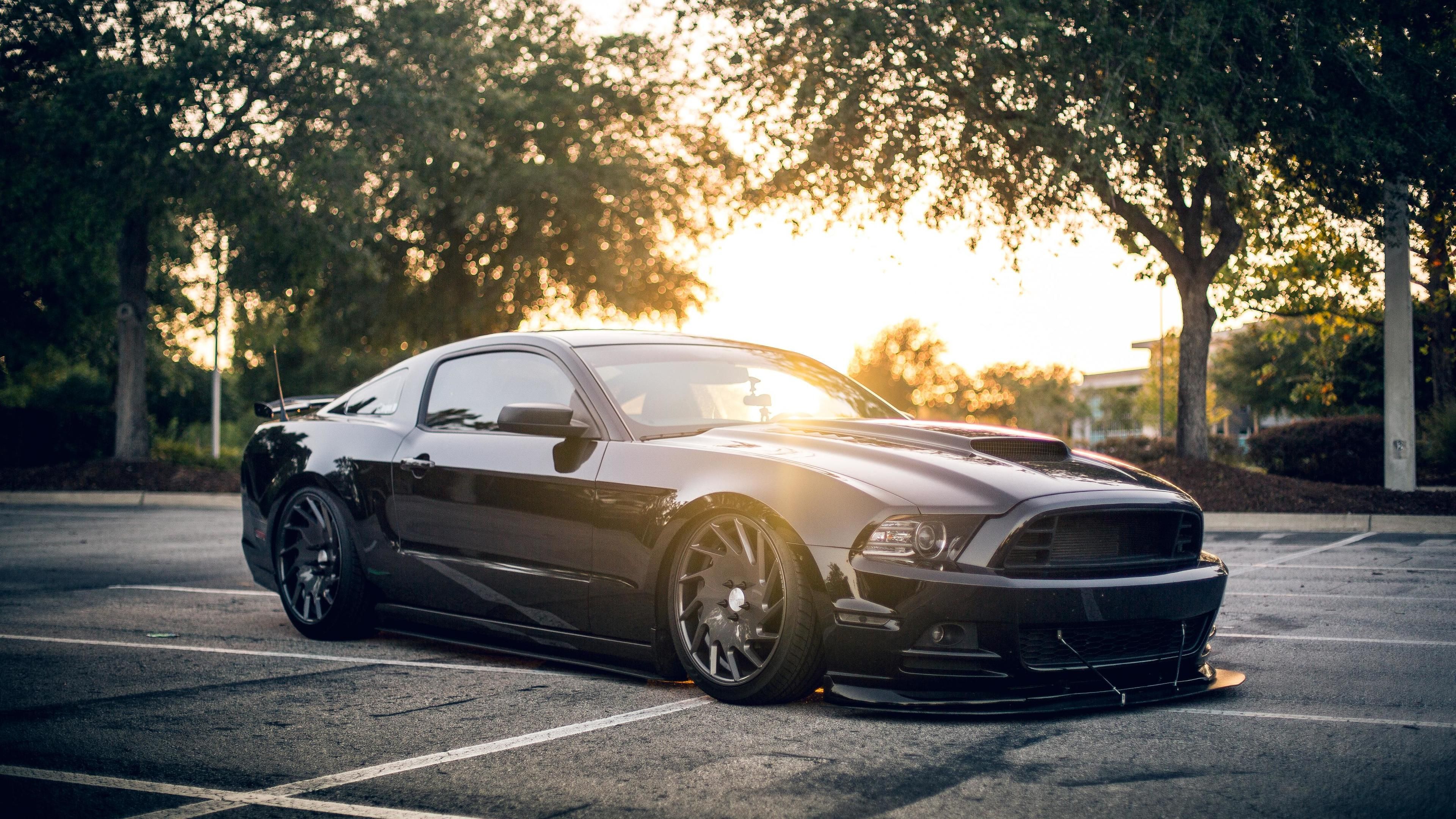 Ford Mustang 2014 Wallpapers Wallpaper Cave