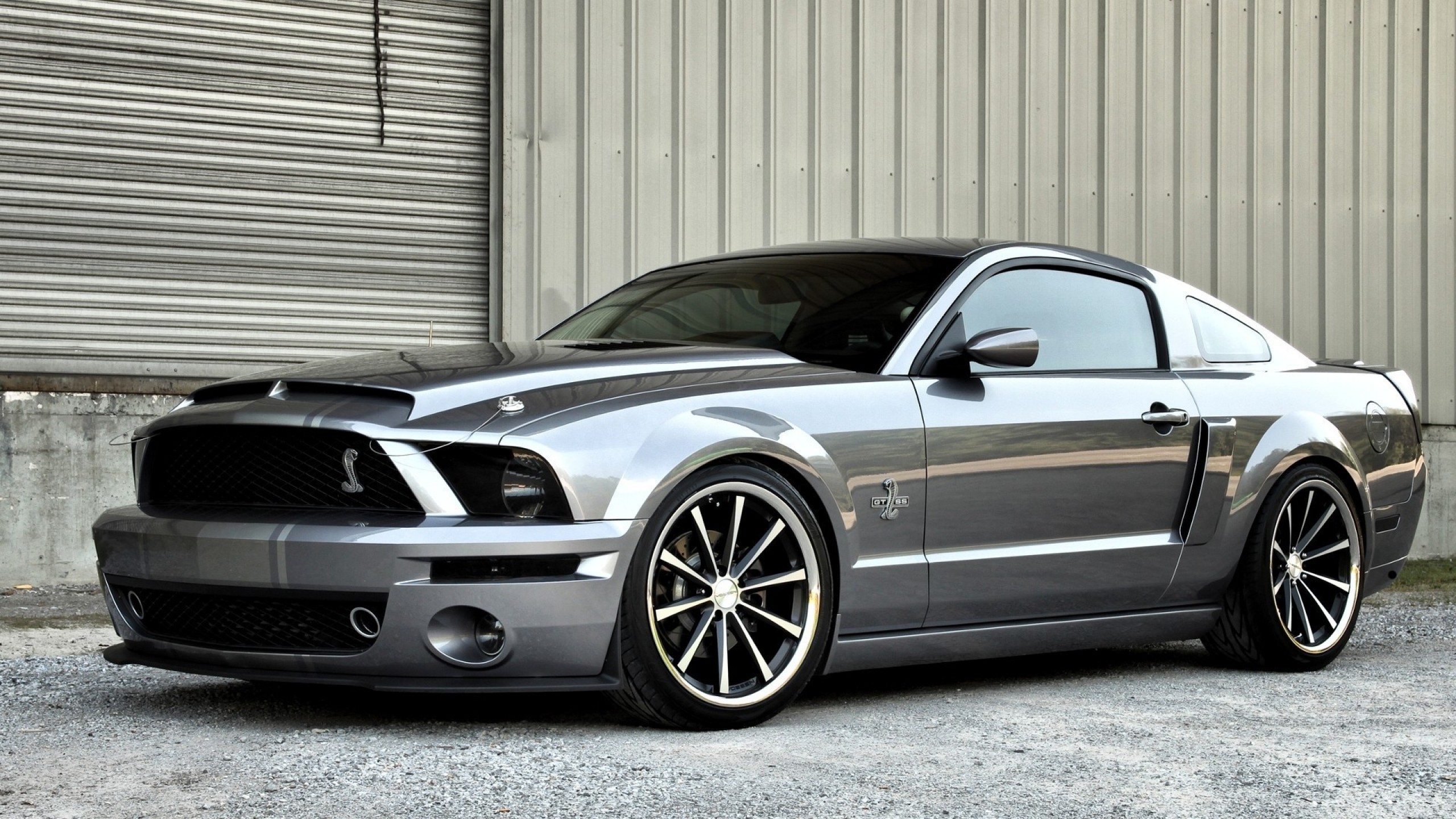 Ford Mustang Cobra Best Image Gallery 14 And Download