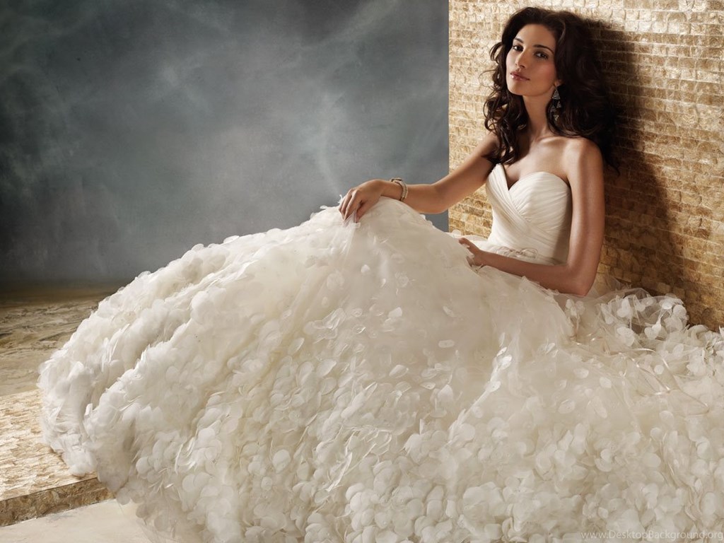 Bridal Wedding Dresses HD Wallpaper Wallpaper Z Desktop Background