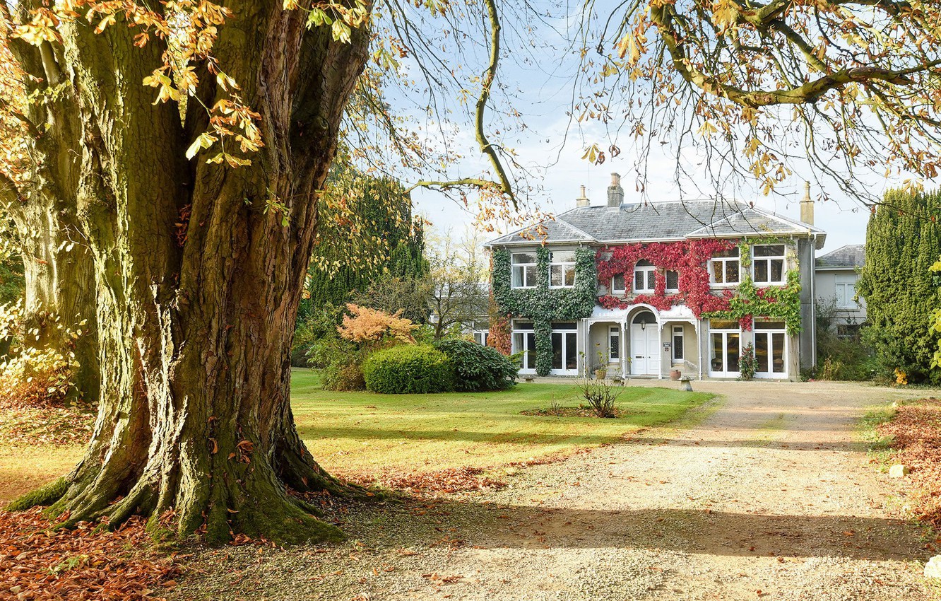 Wallpaper autumn, house, England, garden, Windsor, Holdcroft House Savills image for desktop, section город