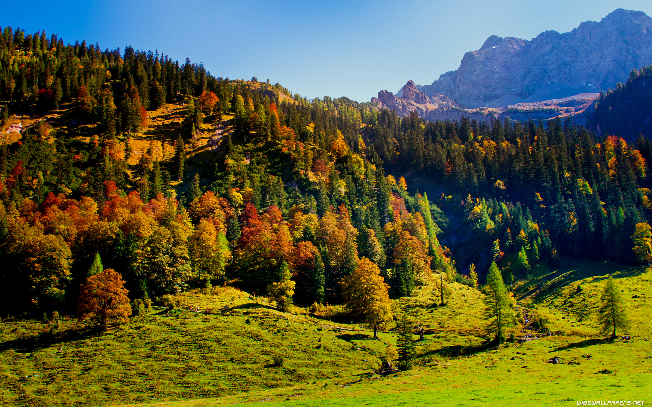 Autumn desktop wallpaper 4K Ultra HD