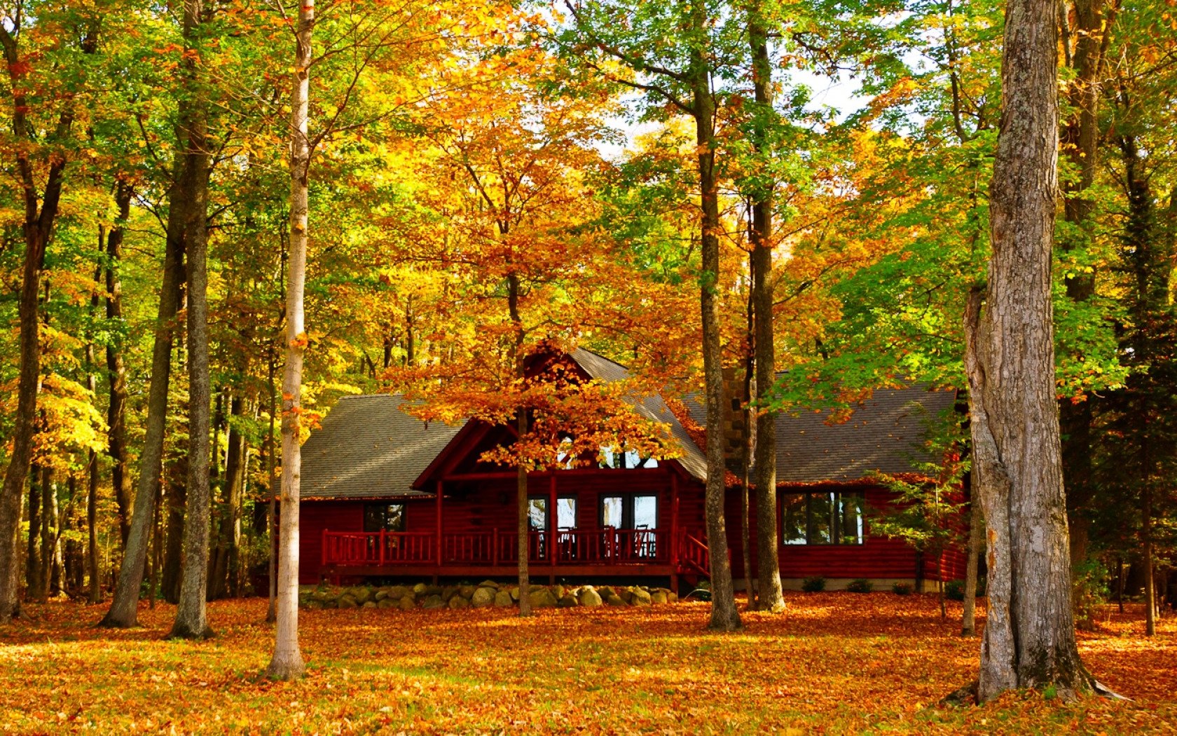 House in Autumn Forest Wallpaper and Background Imagex1050