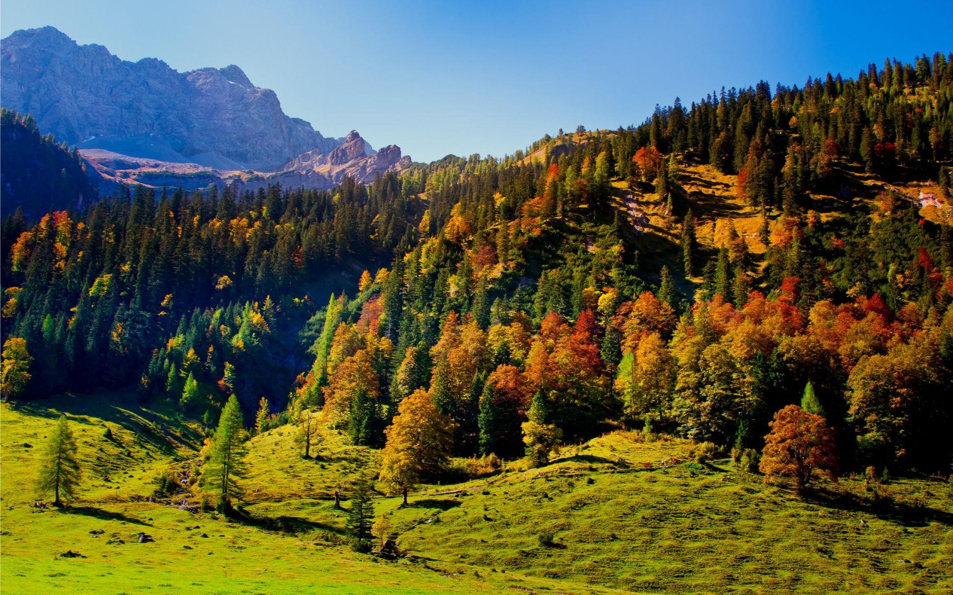Austria autumn sky trees of Tyrol hills mountains right