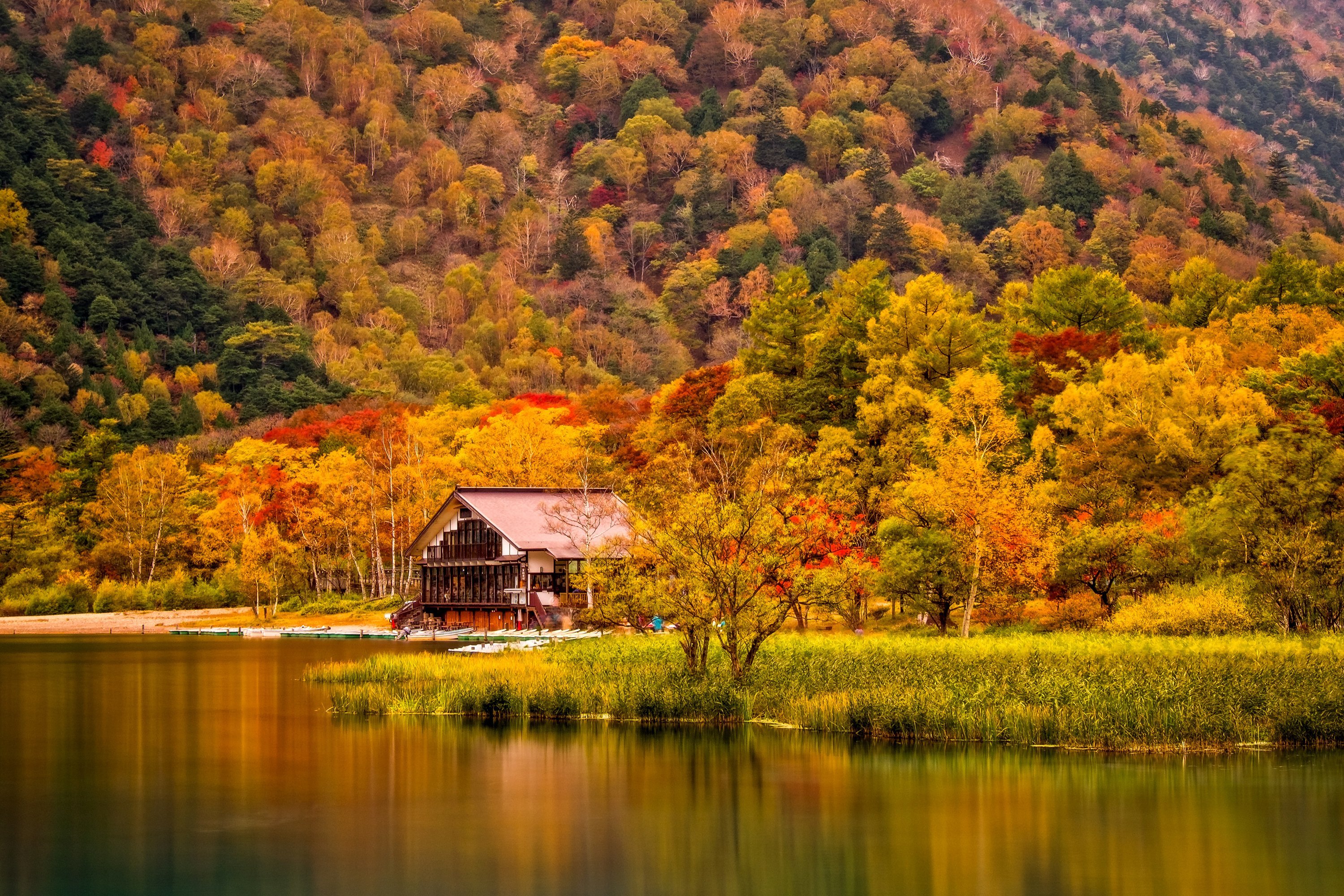 House in the Autumn Forest HD Wallpaper