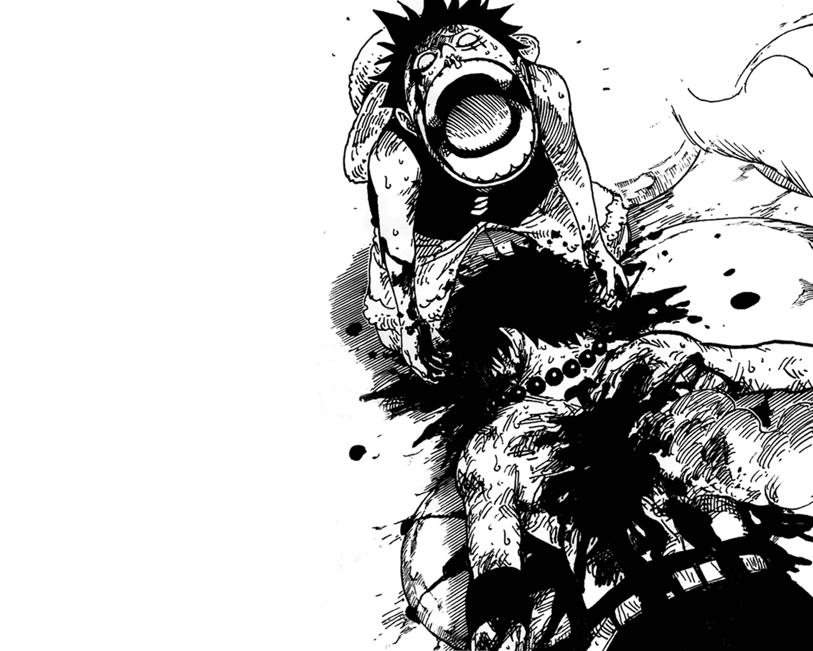One Piece Black And White Wallpaper