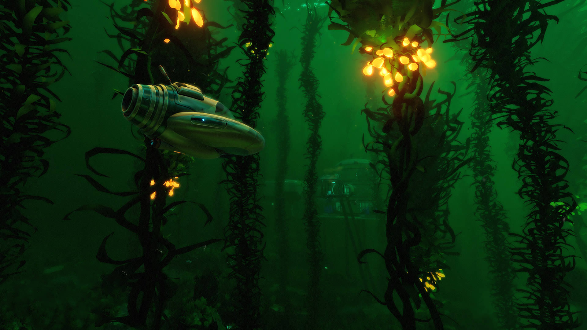 Subnautica in the Kelp Forest