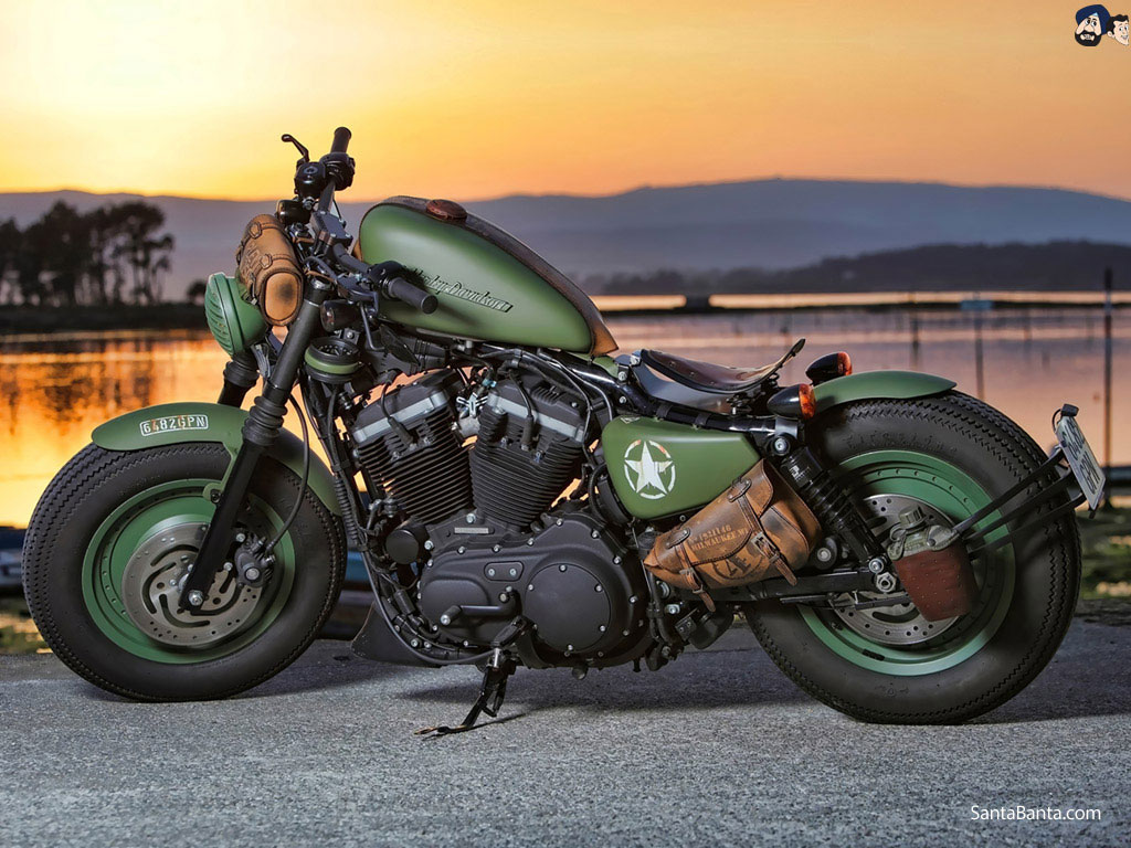 Stunning shot of Stunning shot of Harley Davidson Sportster Iron 883