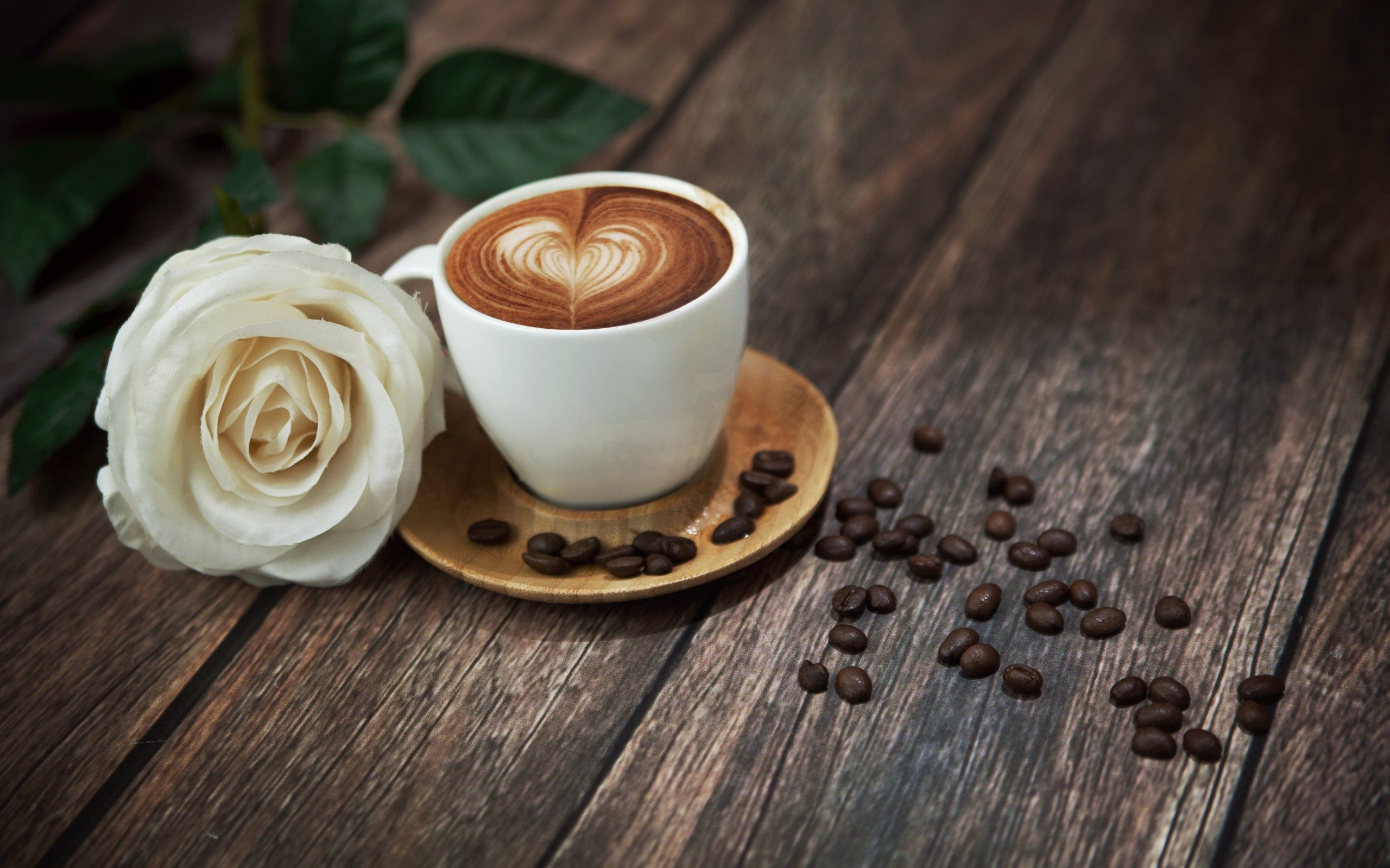 Download wallpaper rose, latte art, a cup of coffee for desktop with resolution 2560x1600. High Quality HD picture wallpaper