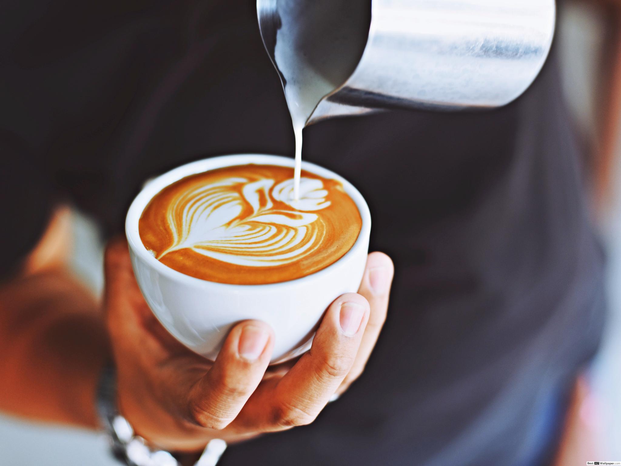 Coffee latte flower art HD wallpaper download