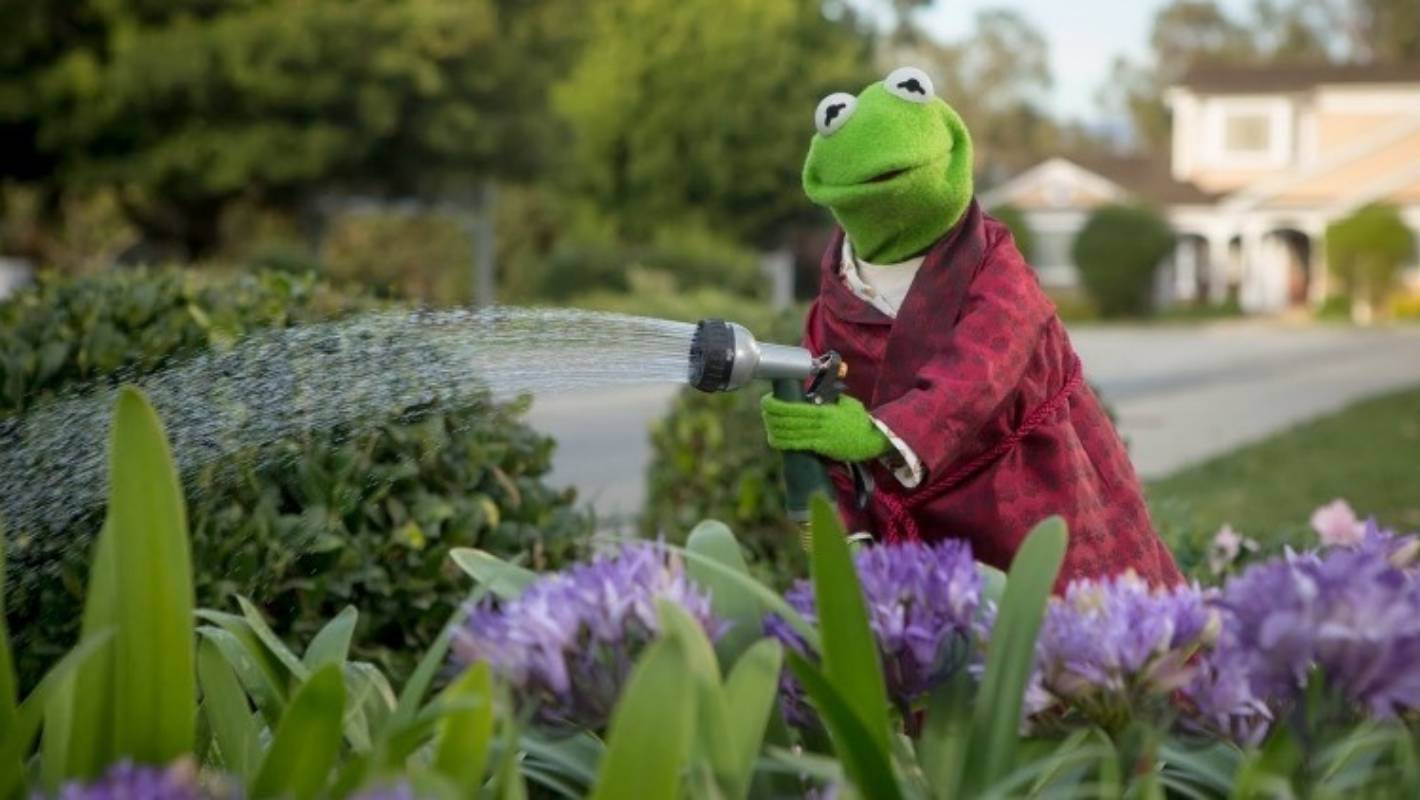 Property lessons from Kermit the Frog