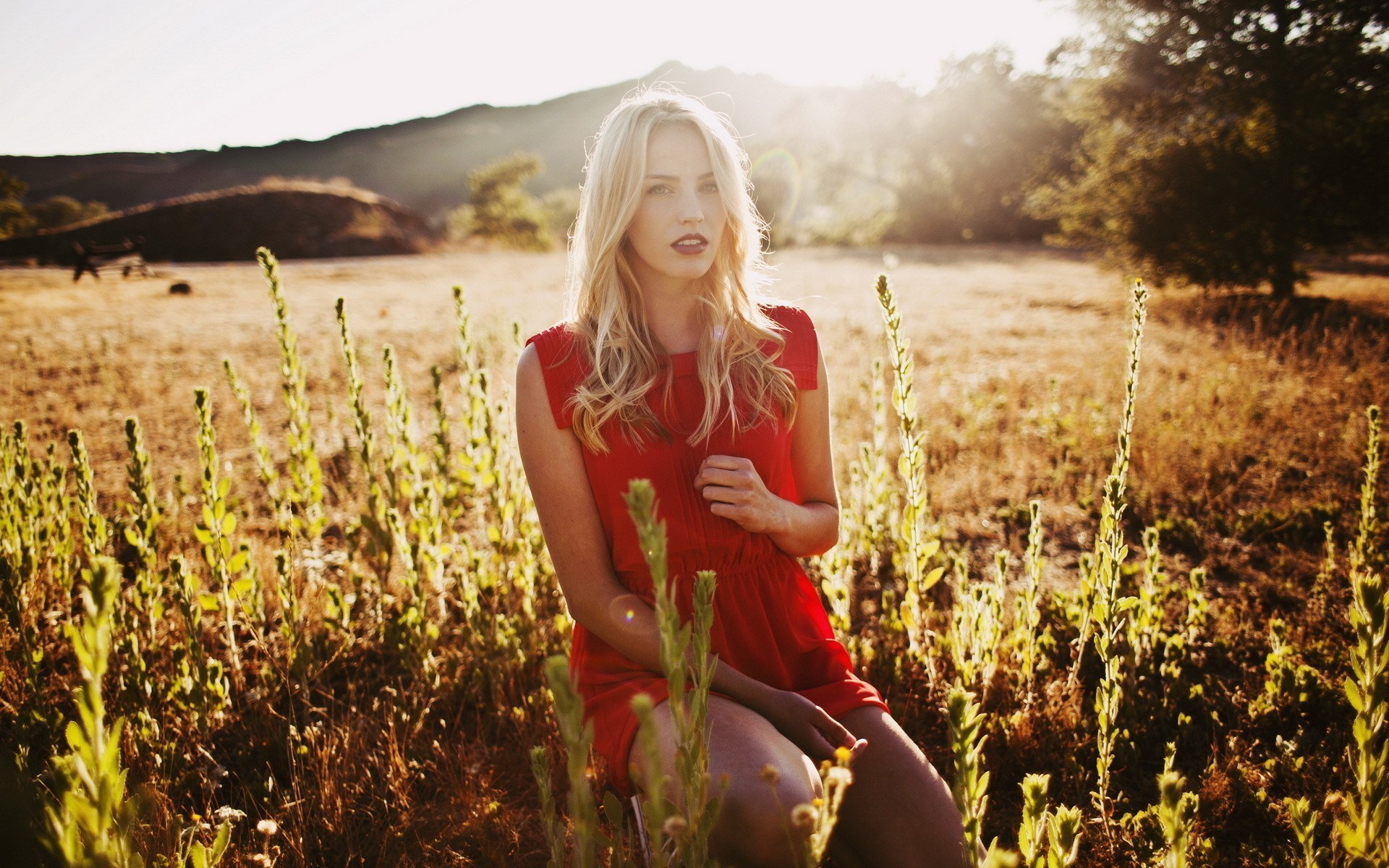 Blonde Girl Sunlight Fashion wallpaperx1200