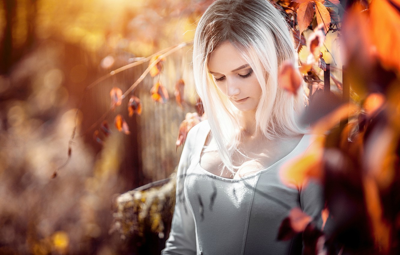 Wallpaper autumn, chest, look, leaves, nature, , pose, sweetheart, Girl, dress, blonde, girl, , beautiful, dress, nature image for desktop, section девушки