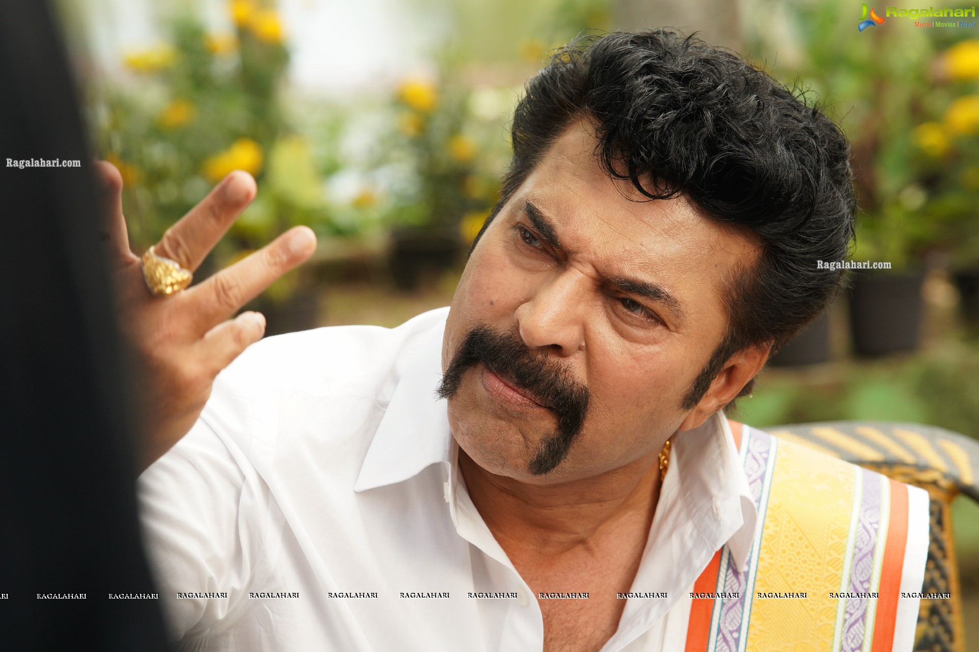 Mammootty's Raja Narasimha to release on 1st Jan