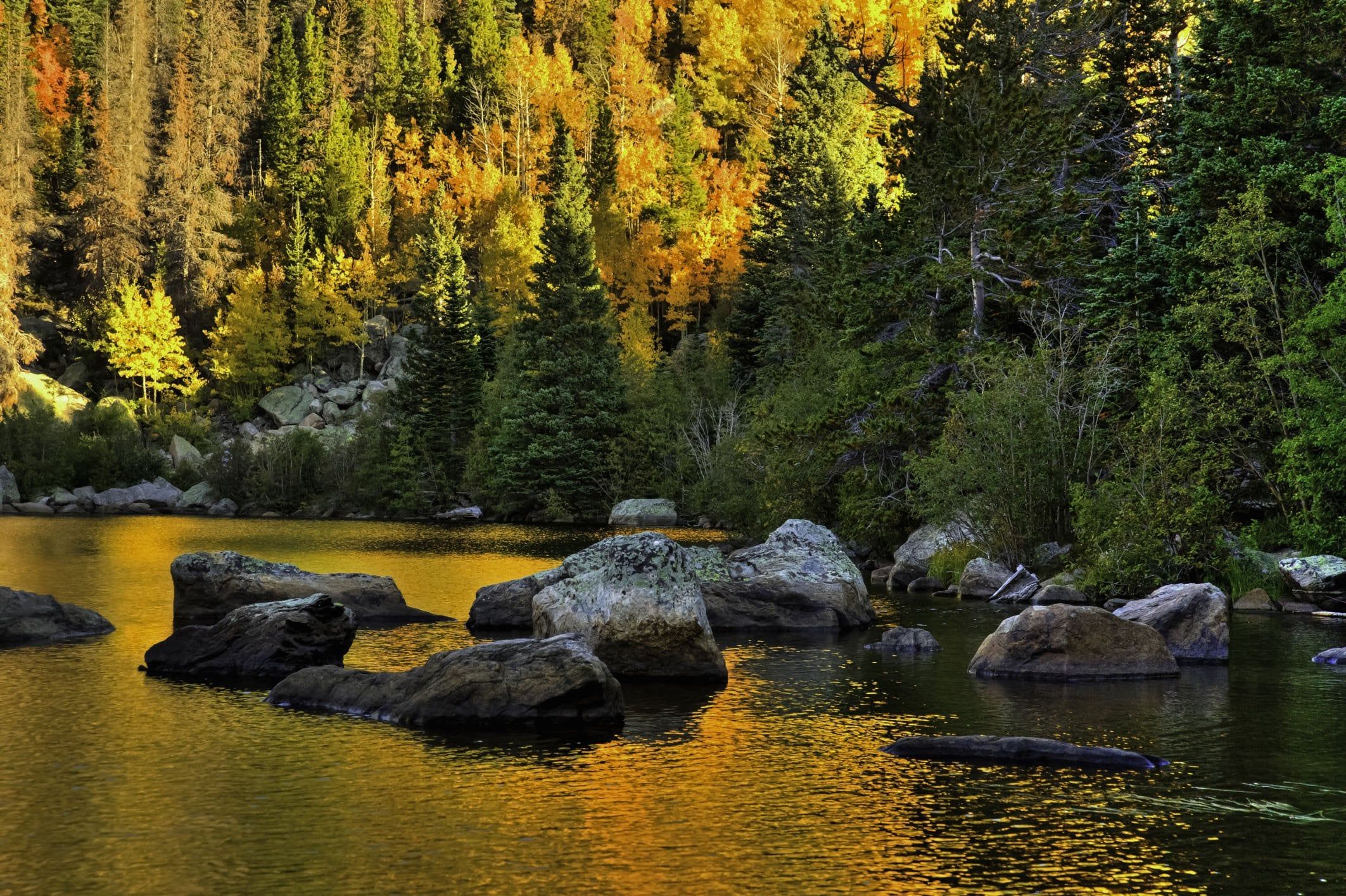 Rocky Mountain Fall Wallpaper Free Rocky Mountain Fall Background