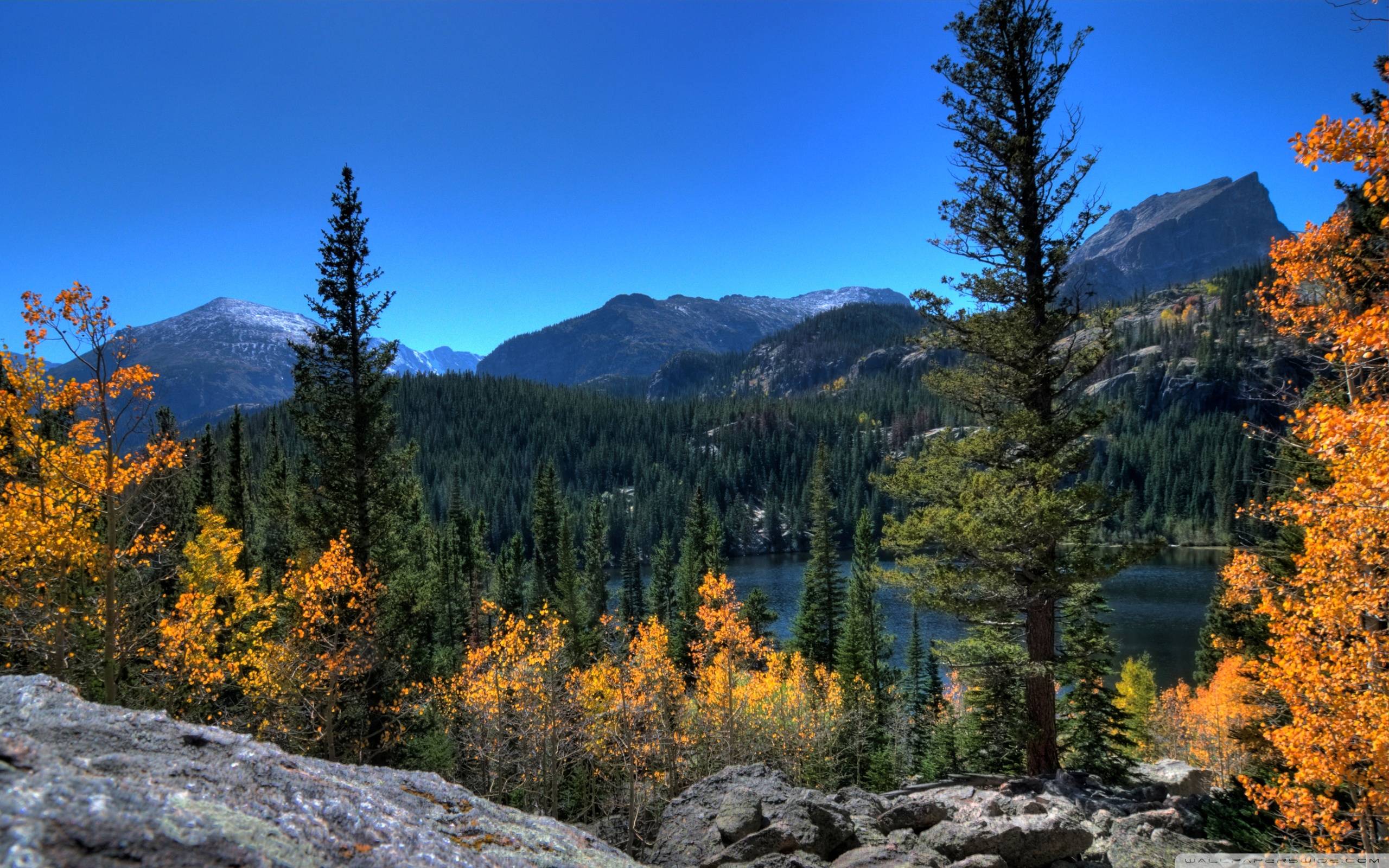 Rocky Mountain Fall Wallpaper