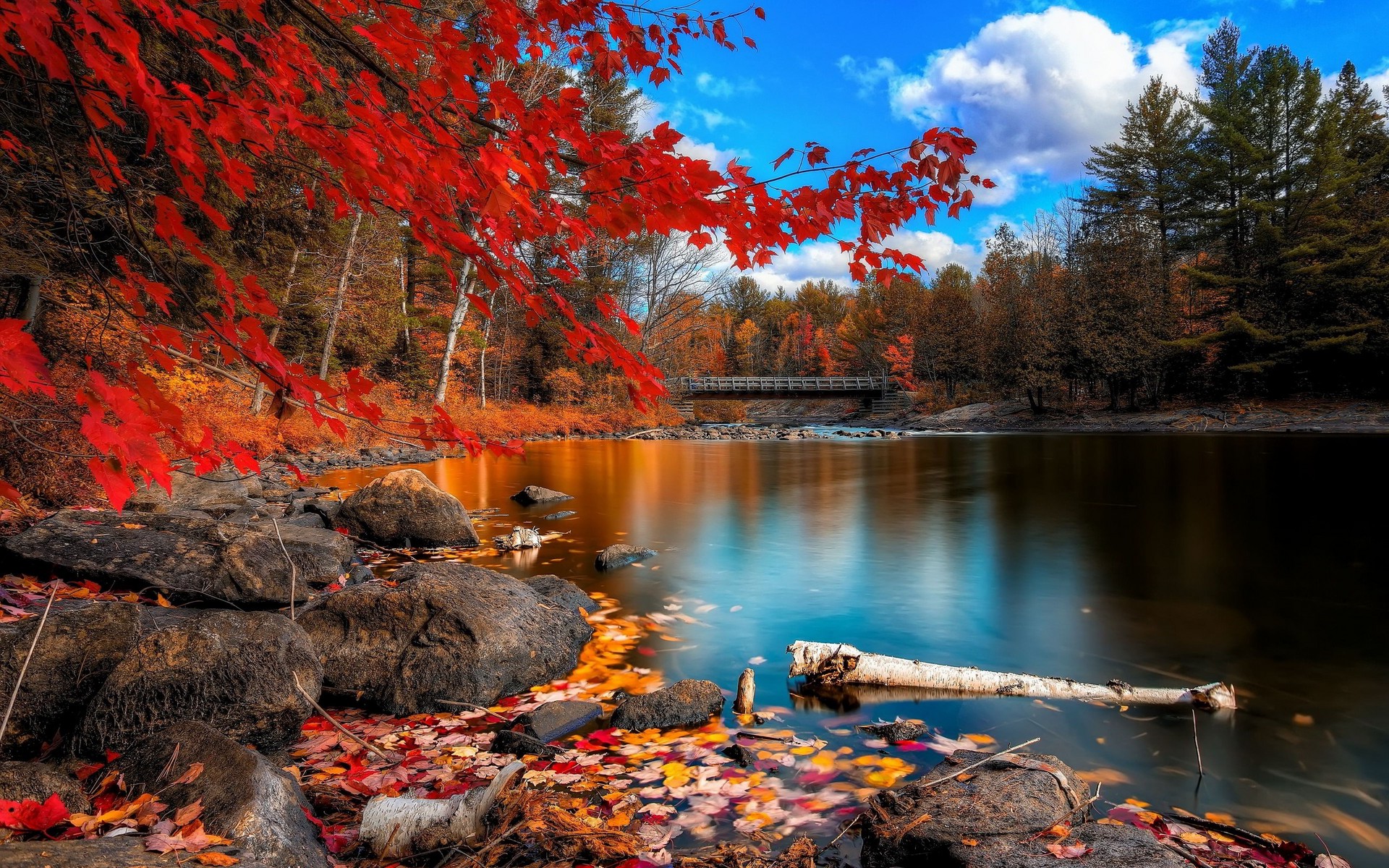 Wallpaper, landscape, forest, fall, anime, lake, water, rock, nature, reflection, sky, branch, river, national park, wilderness, pond, stream, spring, Bank, tree, autumn, plant, watercourse, 1920x1200 px, computer wallpaper, maple leaf, state