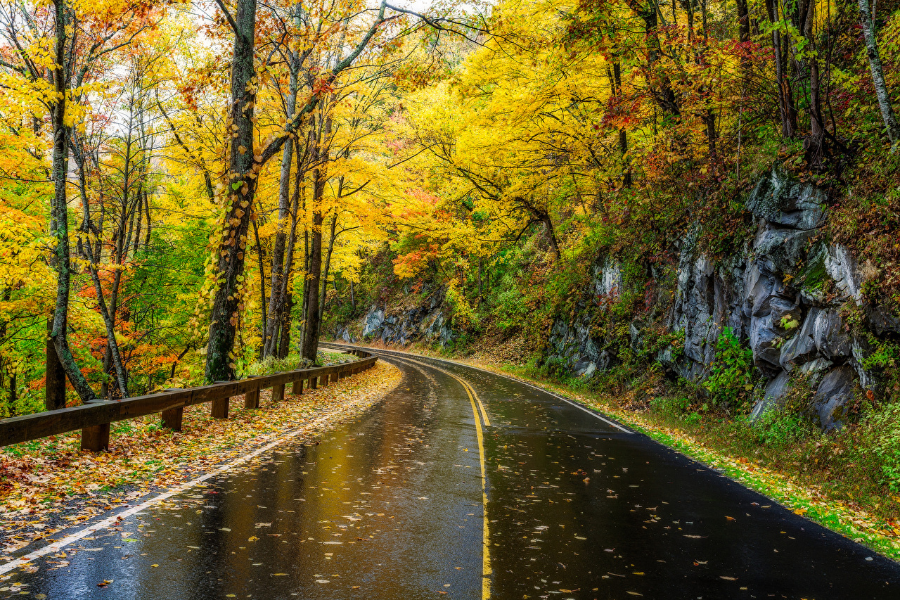 Desktop Wallpaper USA Great Smoky Mountains Autumn Nature Roads