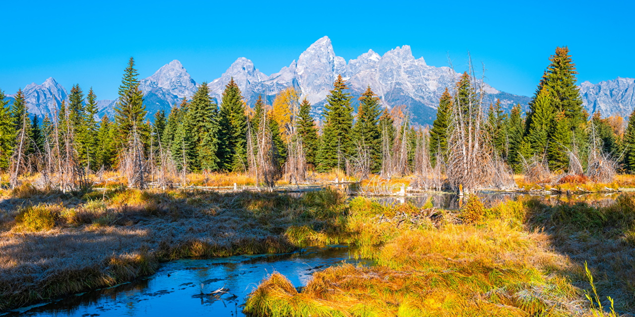 Wallpaper USA Grand Teton National Park Autumn Nature mountain Parks