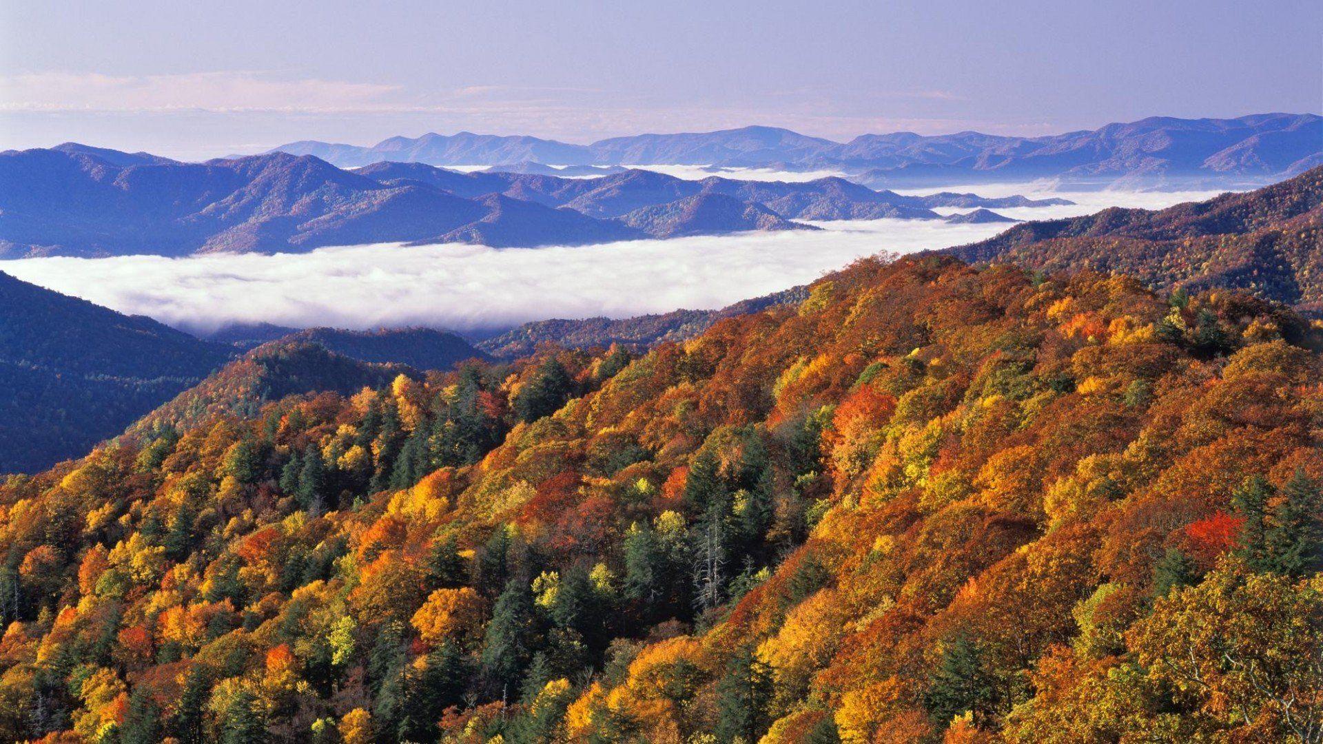 Great Smoky Mountains National Park Wallpaper Free Great Smoky Mountains National Park Background