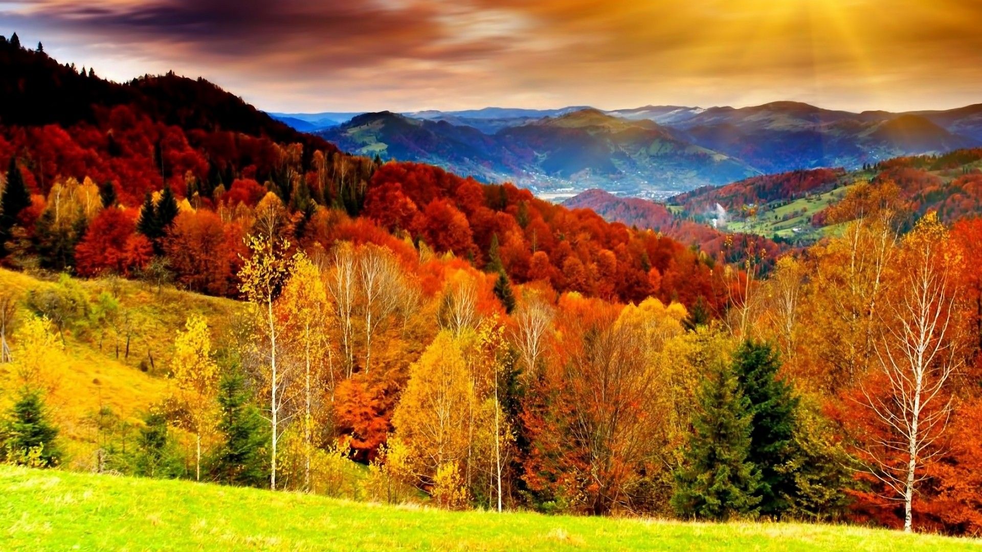 Forest Autumn Valley Mountains Wallpaper For Desktop Autumn HD Wallpaper