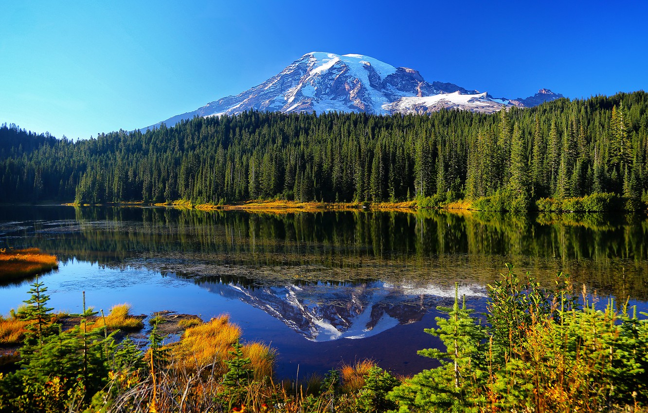 Wallpaper autumn, forest, water, trees, mountains, lake, reflection, Mount Rainier National Park, Reflection Lake image for desktop, section пейзажи