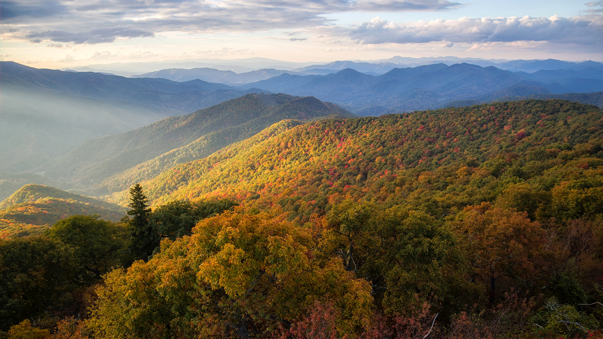 Wallpaper USA North Carolina Nature Autumn mountain forest 1920x1080