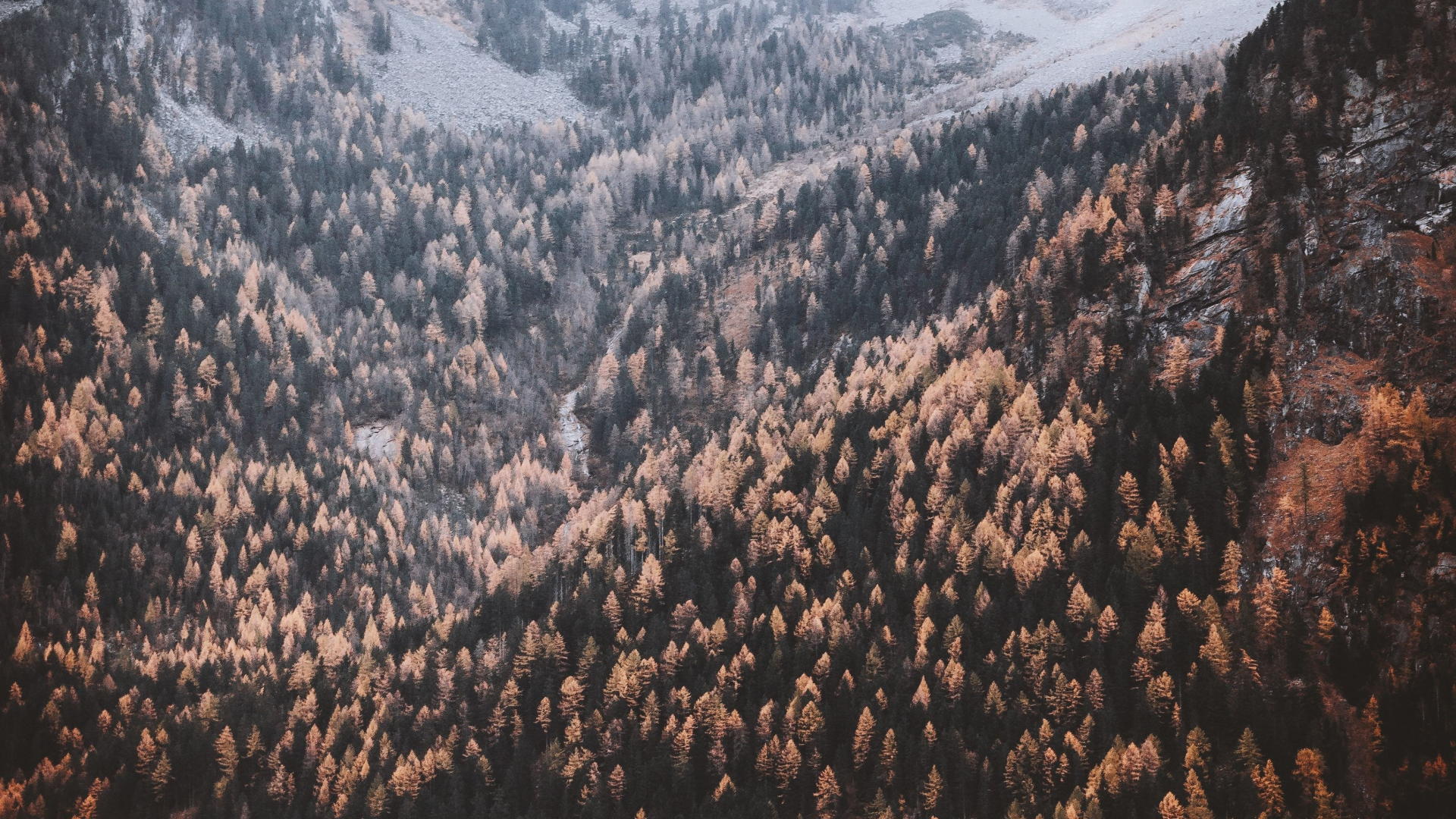 Download 1920x1080 wallpaper beautiful, autumn of mountains, nature, trees, full hd, hdtv, fhd, 1080p, 1920x1080 HD image, background, 8942