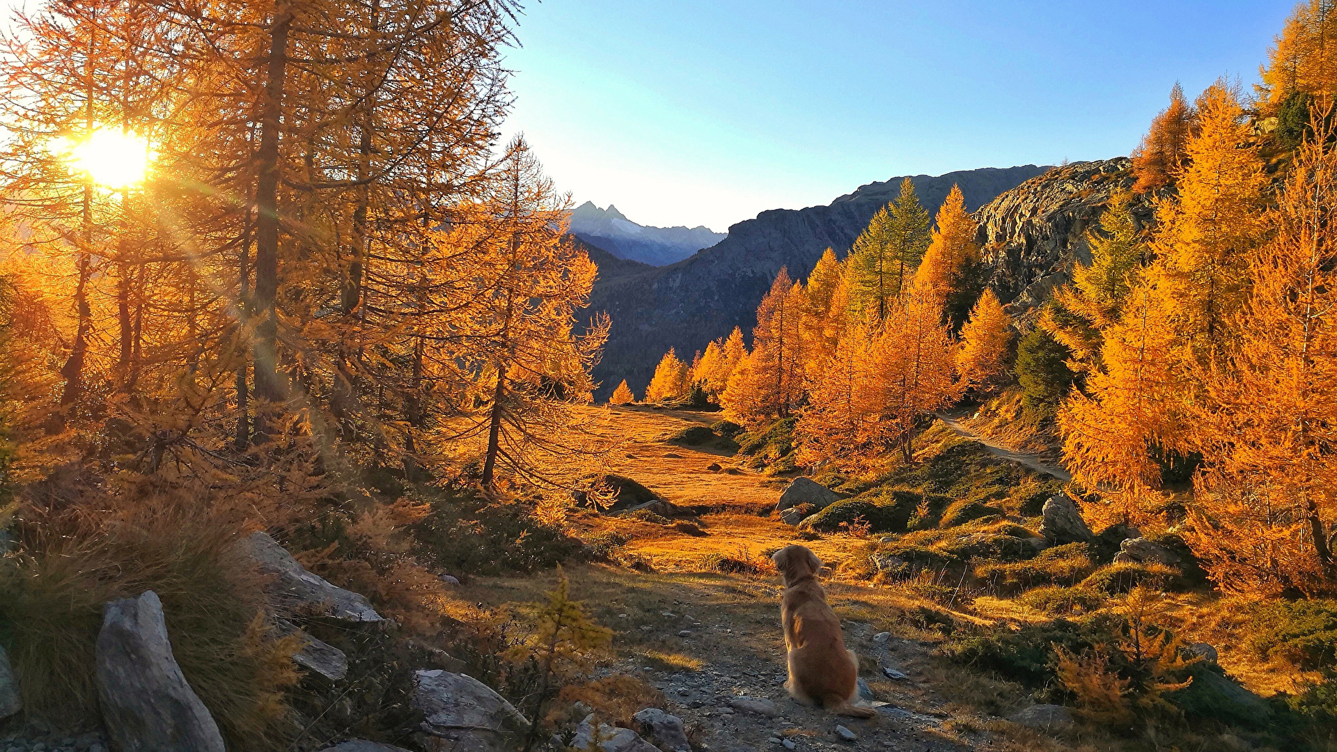 Photos Rays of light Dogs Autumn Nature mountain landscape 1920x1080