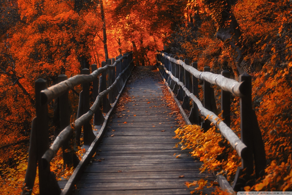 Autumn, Hike Ultra HD Desktop Background Wallpaper for: Widescreen & UltraWide Desktop & Laptop, Multi Display, Dual Monitor, Tablet