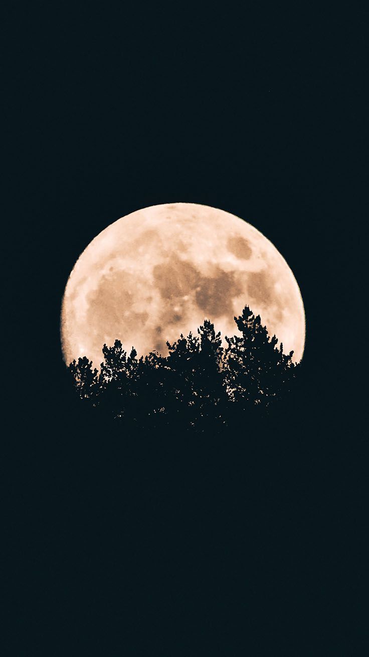 Super Scary Halloween iPhone X Wallpaper