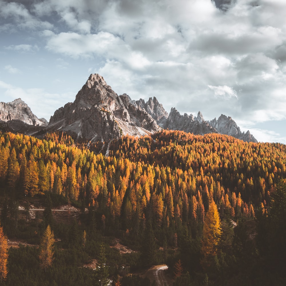 Autumn Mountain Picture. Download Free Image