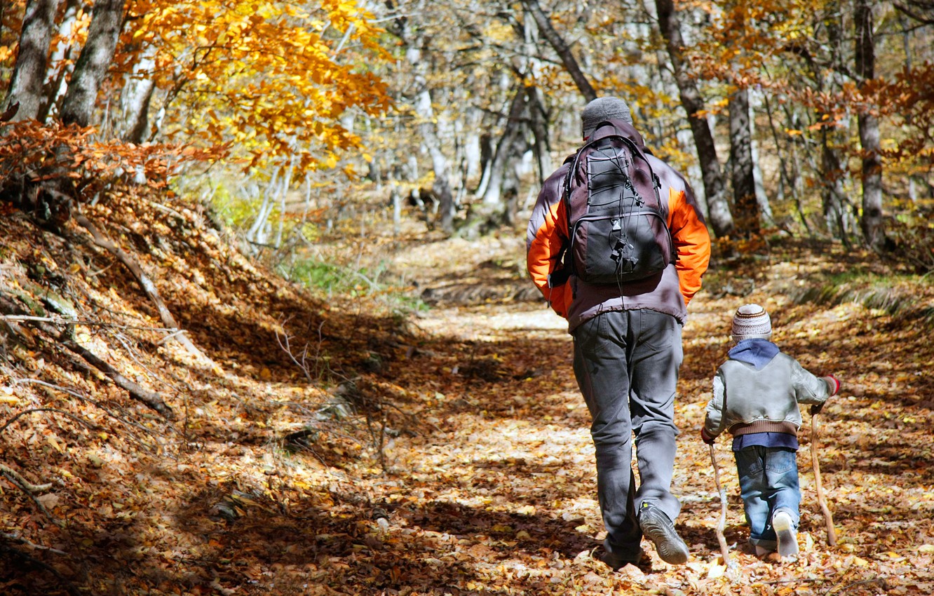 Wallpaper child, adult, Forest, Hiking, father and son image for desktop, section настроения