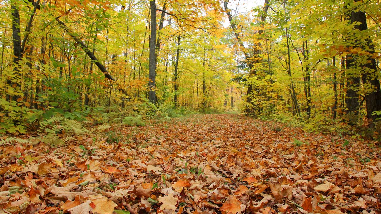 Fall hikes close to home