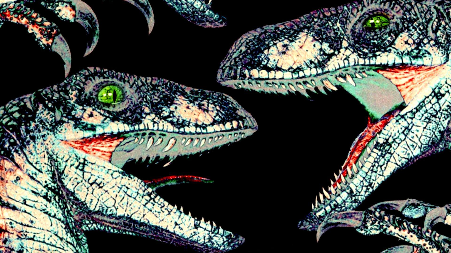 dinosaurs, velociraptor, Jurassic Park Wallpaper / WallpaperJam.com