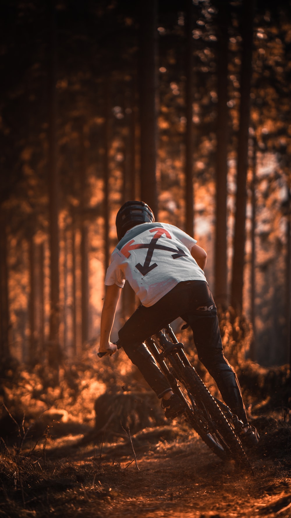 Mountain Bike Picture. Download Free Image