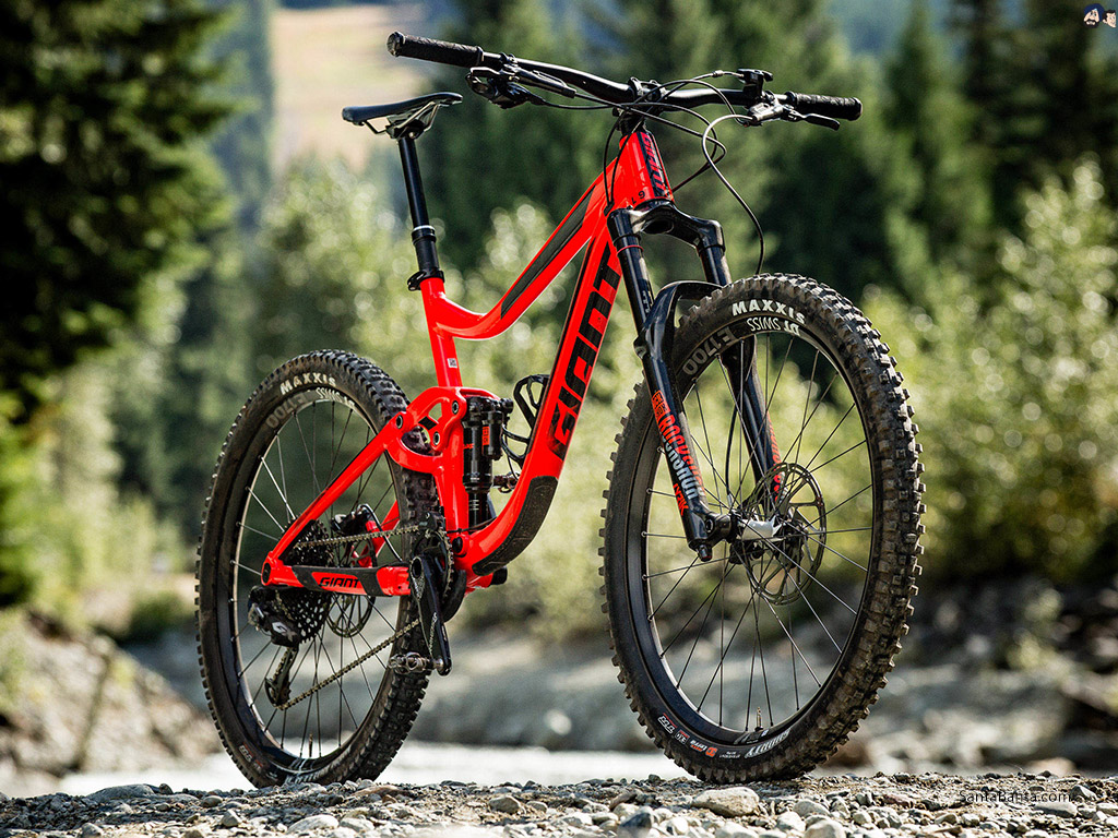 Taiwanese make Giant, Downhill Mountain Bike