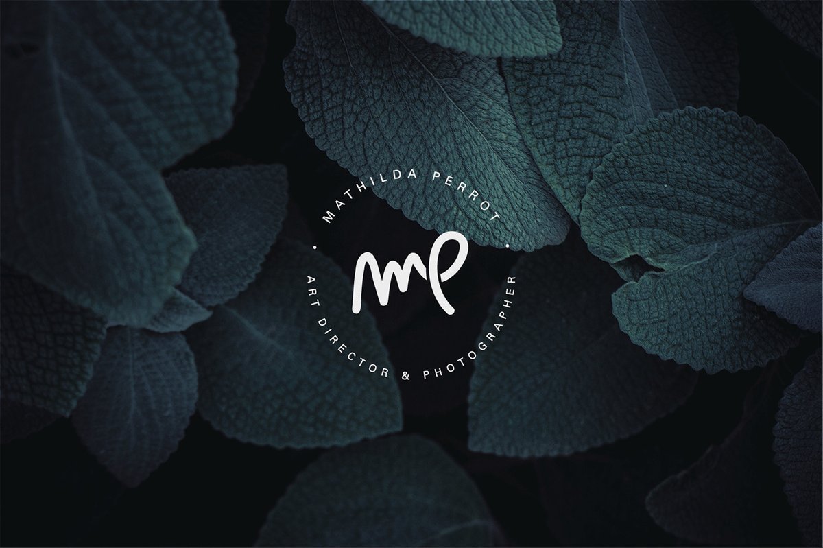 Photography and Photographer Logos